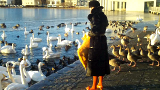 Nydelig dame fodrer fugle med brød fra en stor sæk nu som film