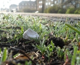 tyggeggumni på sti 4