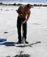 Spade digging its own grave