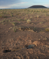 Spade digging its own grave